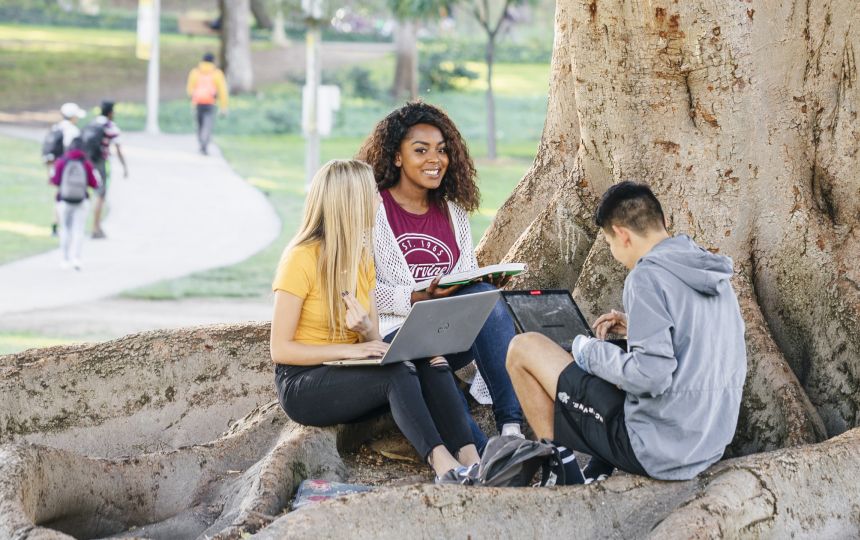 Students sitting by a tree