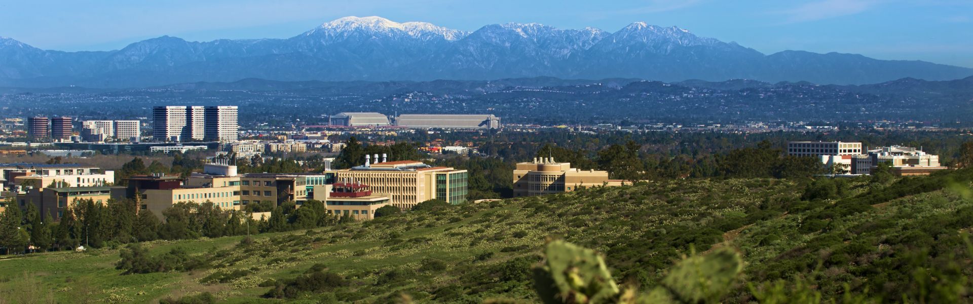 View of UC Irvine Campus