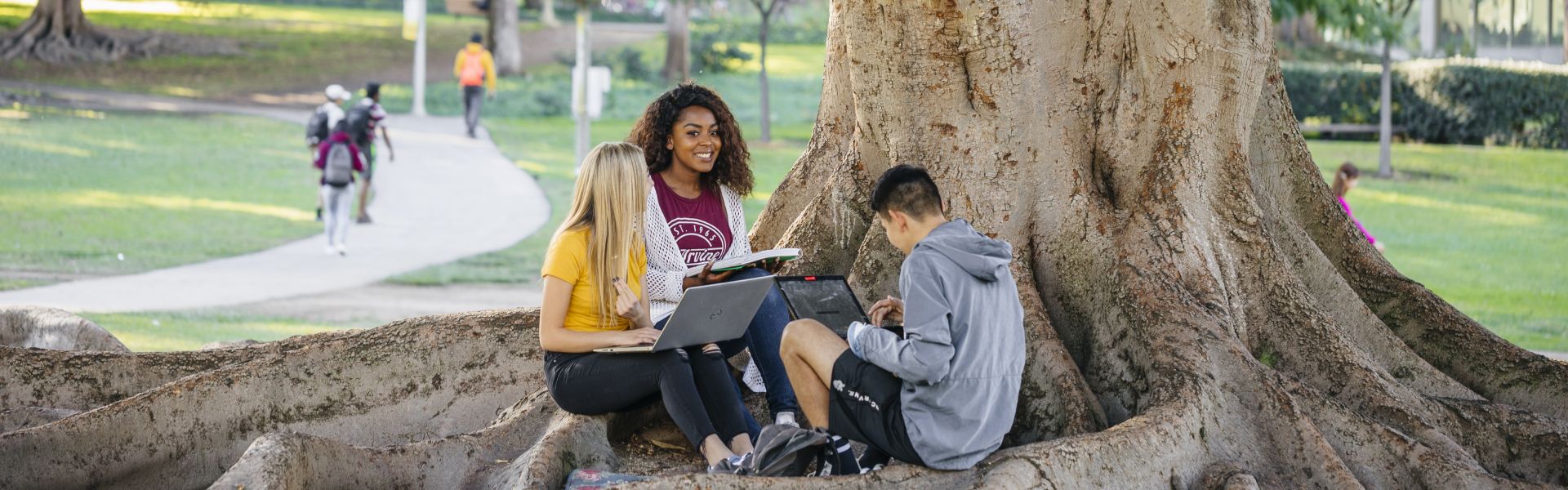 Group of students studying together outside