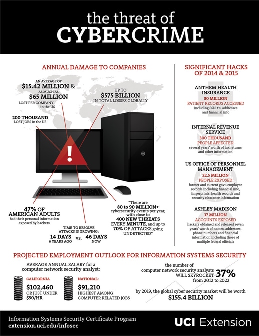 The Threat of Cybercrime