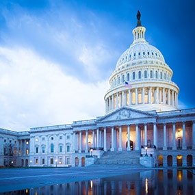 Learning to Lead in Local Government