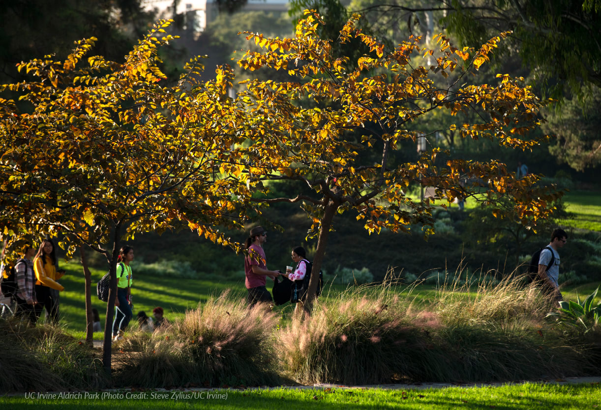 UC Irvine Aldrich Park (Photo Credit: Steve Zylius/UC Irvine)